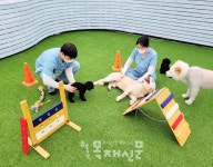 반려동물보호소 아이조아보호소, 경기 안양점 오픈