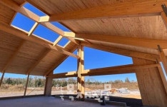 독일, 매스팀버 수출 줄인다