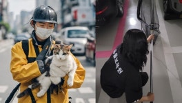 동물보육원, 길고양이·유기견 등 야생동물 구조 요청 급증