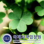 국제자격검정원, 사주 명리학공부 관련 명리심리상담사 자격증 외 120여종 무료강의