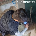 한국동물보육원연합회, 고양이·강아지구조 활동에서 눈부신 성과 이뤄