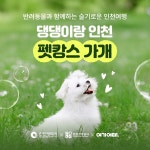 여행·여가 플랫폼 여기어때, 가을엔 댕댕이랑 인천 펫캉스 가개