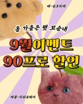 부산 미유펫 애견샵, 9월 이벤트 강아지·고양이 분양 할인 혜택