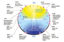 [특집] 건강과 환경을 위한 선택 생활 속 목재이용 3-①