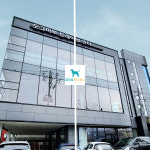 도그마루 동물보호센터, 분양·입양 비용 무료 및 검진 지원...유기견 파양 방지 직접 나서