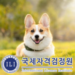 국제자격검정원, 펫시터·애견인 관심자 위한 반려동물관리사 자격증 등 무료 교육 진행