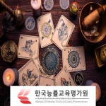 한국능률교육평가원, 타로마스터·타로카드 무료 교육 및 심리상담사 자격증 과정 운영