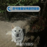 한국동물보육원연합회, 5월 강아지·고양이 파양 동물 입양 캠페인 전개