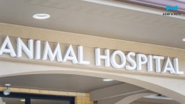 본아페티 영양제, 동물병원 입점 본격화