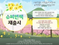 제주스타렌트카, 홈페이지 누적 방문객 5천만 명 돌파 기념 슈퍼면책 상품 재출시