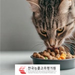 한국능률교육평가원, 무료 수강 이벤트 신규 과정 펫푸드·펫시터·반려동물관리사 및 심리상담사 과정 교육 제공