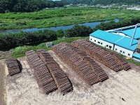 국산원목 유통의 새 거점, 국립목재집하장 평창서 본격 운영