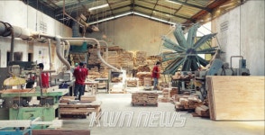 세계는 지금 – 각국 목재산업 보고서 ⑦목재 강국 인도네시아: 조림·합법성·수출 다변화의 삼각편대