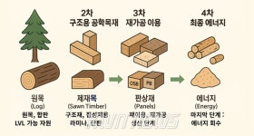 영진임업벌채 | [특별기획] 제9편. 단계적 이용을 하면 벌채를 줄일 수 있을까?
