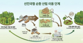 영진임업벌채 | [특별기획] 제10편. 목재를 많이 써도, 단계적으로 오래 사용하면 벌채를 줄일 수 있을까요?