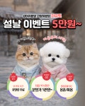 대전 애견샵 미유펫, 강아지·고양이 분양 할인 혜택 진행