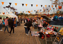 할로윈 데이 컨셉  미니 플리마켓, 1만7천여 명 방문…성료