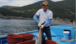 육질 부드럽고 맛 뛰어난 귀한 수산물 부담없이 즐기세요