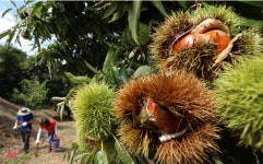 내일날씨 쾌청하고 선선해 나들이하기 좋은 일요일…미세먼지도 좋음~보통 수준