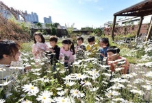 [내일날씨] 전국 맑고 쌀쌀 출근길 두툼한 옷 챙겨야…바람 강하게 불어 체감 온도 뚝