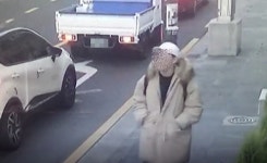건강 천만다행…대정읍 해안가 갯바위에 서 있는 모습 발견