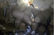 얼기설기 엮이고 이끼나 해초 껴 탈출 쉽지 않아