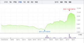 나노메딕스, 5거래일 연속 하락에 6% 급락…하락 도대체 어디까지