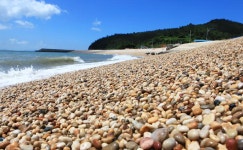 송이도, 몽돌로 꽉 채워져 독특한 해변경관….소나무 많고 사람 귀 닮았다 송이도