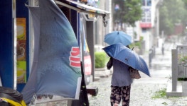 가로수 뿌리째 뽑히고 창문 박살, 중앙분리대도 밀려나