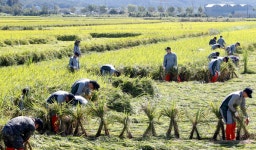 태풍 타파가 온다, 이번엔 소녀 대신 메기…태풍이 소용돌이 구조 다지기 좋은 환경