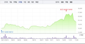 엘엠에스, 그래핀 관련주 나노메딕스 이어 하락…하락 도대체 어디까지