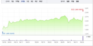 이글벳·우진비앤지, 돼지열병 관련주 돼지독감 발생에 상승에 급등…특히 우진비앤지 9% 급등