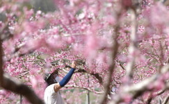 [오늘 날씨] 한낮 15도이상 쾌청한 봄날씨-내륙중심 일교차 15도이상 커…서울 등 전국 곳곳 건조특보