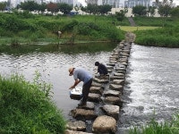 경기도 하천 73% 1~2등급…경안천, 의암댐, 청평댐, 팔당댐, 임진강 상류, 임진강 하류, 한강 하류 등 좋은 물