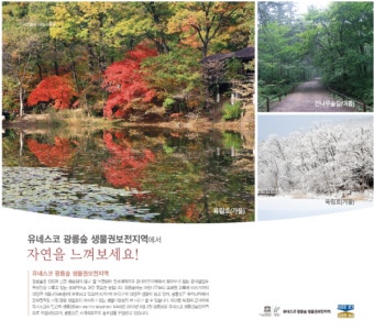 경기도, '광릉숲 유네스코 생물권보전지역' 지속 가능한 발전 위한 관리계획 수립