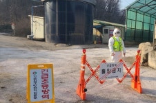 경기도, 아프리카돼지열병(ASF) 발생. 수평전파 차단 총력 대응