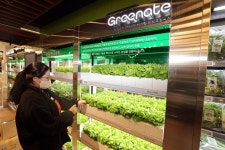 이마트 연수점 혁신 리뉴얼 개장…스마트팜-참치 해체쇼-랜더스 락커룸 등