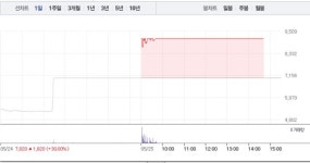 [상한가 종목] 국보-씨이랩 이어 라이콤-아이티아이즈-현대건설우 상한가 마감