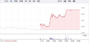 [상한가 종목] 흥구석유-신성델타테크 이어 흥아해운-한국ANKOR유전-소룩스 등 상한가 마감