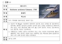 도롱뇽 등 경기도보호 야생생물 38종 정리…어떤 종이 있는지 알고 같이 보호해요!