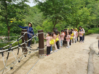 성남시 산림복지 프로그램 총 1950회 운영…유아 숲 체험, 숲 해설, 산림치유 무료