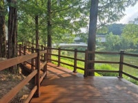 용인특례시, 동백호수공원에 보행약자 위한 데크길 조성
