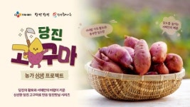 씨제이프레시웨이(당진종합병원점) | CJ프레시웨이, 당진 고구마 활용 한정 메뉴 출시 "농가상생 프로젝트 일환"