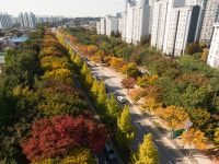 산림청 녹색도시 우수사례에 평택시 가로수·부천시 학교숲 선정…경기도 4년 연속 우수성 인정