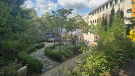 산림청 녹색도시 우수사례에 평택시 가로수·부천시 학교숲 선정…경기도 4년 연속 우수성 인정