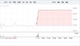 [상한가 종목] 삼양바이오팜-이화산업 이어 YTN-우림피티에스 등 상한가 마감