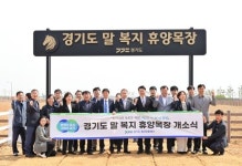 경기도, 은퇴 경주마 위한 말 복지 휴양목장 운영 시작