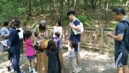 용인시, 근린공원 생태체험프로그램 강사 22일까지 모집