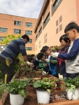 용인시, 초등학교 자투리공간에 텃밭 조성 지원