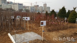 광주성남하남산림조합, 나무전시판매장 운영